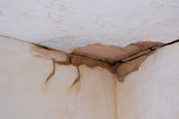 Best Ceiling water damage repair  in Ely, IA