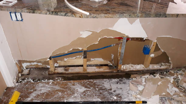 Best Emergency water damage restoration  in Ely, IA