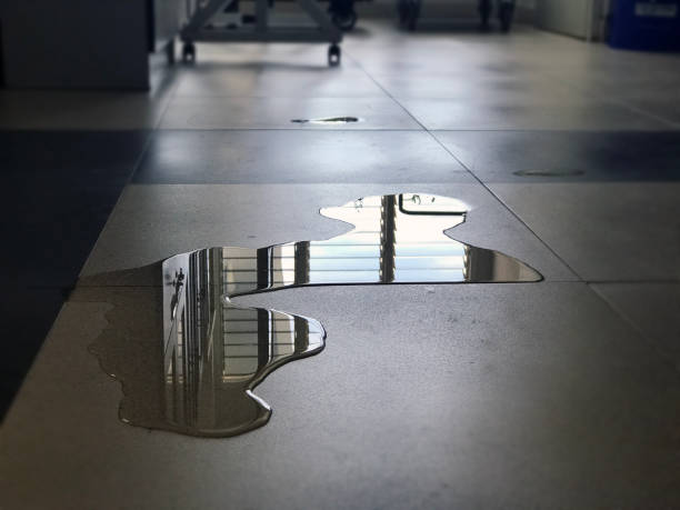 Best Sewage cleanup and water damage restoration  in Ely, IA