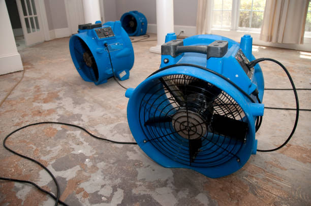 Best Flood damage cleanup  in Ely, IA