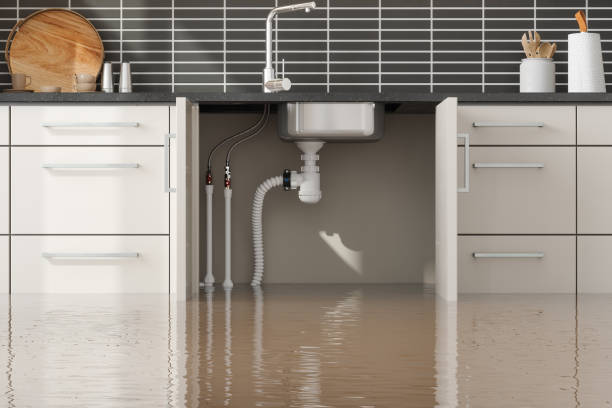 Best Emergency water damage restoration  in Ely, IA