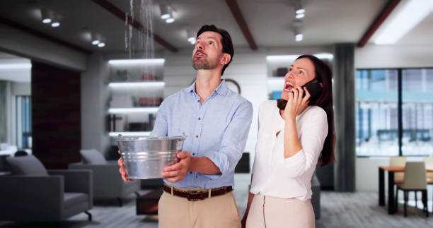 Best Water damage cleanup near me  in Ely, IA