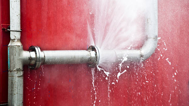 Best Water damage restoration process  in Ely, IA