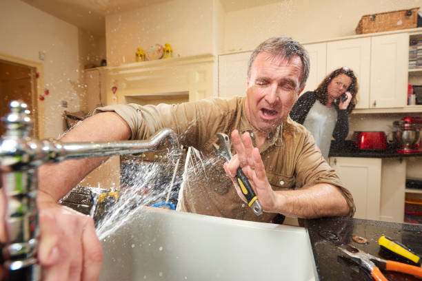 Best Flood restoration services  in Ely, IA